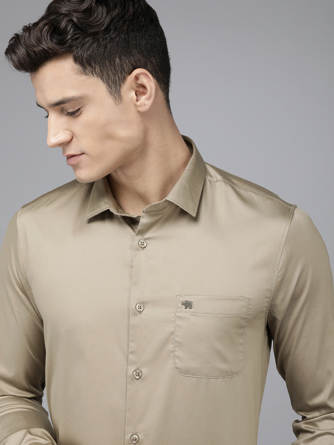 Men Brown Solid Slim Egyptian Giza Cotton Formal Shirt
